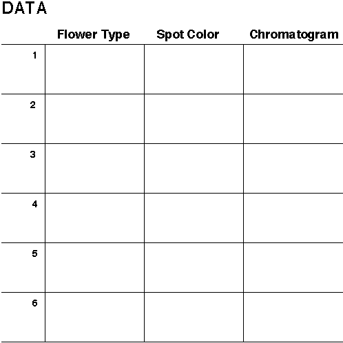 Data Form